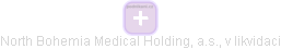 North Bohemia Medical Holding, a.s., v likvidaci - náhled vizuálního zobrazení vztahů obchodního rejstříku