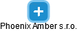 Phoenix Amber s.r.o. - náhled vizuálního zobrazení vztahů obchodního rejstříku