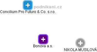Bonova a.s. - náhled vizuálního zobrazení vztahů obchodního rejstříku