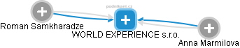WORLD EXPERIENCE s.r.o. - náhled vizuálního zobrazení vztahů obchodního rejstříku