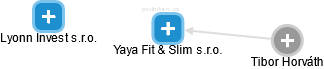 Yaya Fit & Slim s.r.o. - náhled vizuálního zobrazení vztahů obchodního rejstříku