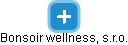 Bonsoir wellness, s.r.o. - náhled vizuálního zobrazení vztahů obchodního rejstříku
