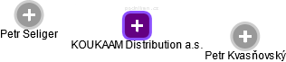 KOUKAAM Distribution a.s. - náhled vizuálního zobrazení vztahů obchodního rejstříku