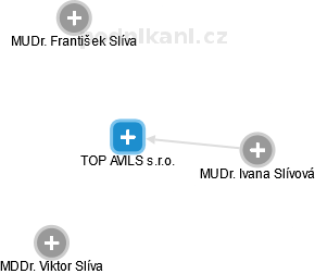 TOP AVILS s.r.o. - náhled vizuálního zobrazení vztahů obchodního rejstříku