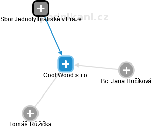 Cool Wood s.r.o. - náhled vizuálního zobrazení vztahů obchodního rejstříku
