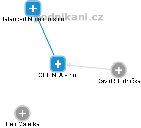 GELINTA s.r.o. - náhled vizuálního zobrazení vztahů obchodního rejstříku