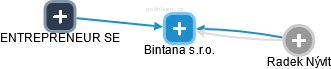 Bintana s.r.o. - náhled vizuálního zobrazení vztahů obchodního rejstříku