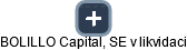 BOLILLO Capital, SE v likvidaci - náhled vizuálního zobrazení vztahů obchodního rejstříku