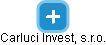 Carluci Invest, s.r.o. - náhled vizuálního zobrazení vztahů obchodního rejstříku