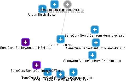 SeneCura s.r.o. - náhled vizuálního zobrazení vztahů obchodního rejstříku
