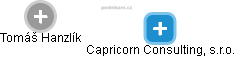 Capricorn Consulting, s.r.o. - náhled vizuálního zobrazení vztahů obchodního rejstříku