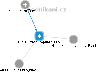 BRFL Czech Republic s.r.o. - náhled vizuálního zobrazení vztahů obchodního rejstříku