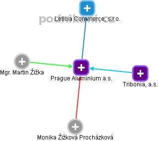 Prague Aluminium a.s. - náhled vizuálního zobrazení vztahů obchodního rejstříku