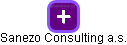 Sanezo Consulting a.s. - náhled vizuálního zobrazení vztahů obchodního rejstříku