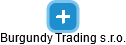 Burgundy Trading s.r.o. - náhled vizuálního zobrazení vztahů obchodního rejstříku