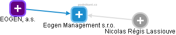 Eogen Management s.r.o. - náhled vizuálního zobrazení vztahů obchodního rejstříku