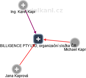 BILLIGENCE PTY LTD, organizační složka ČR - náhled vizuálního zobrazení vztahů obchodního rejstříku