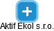 Aktif Ekol s.r.o. - náhled vizuálního zobrazení vztahů obchodního rejstříku