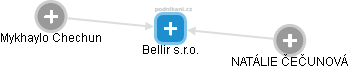 Bellir s.r.o. - náhled vizuálního zobrazení vztahů obchodního rejstříku
