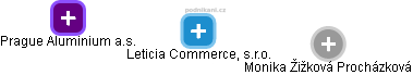 Leticia Commerce, s.r.o. - náhled vizuálního zobrazení vztahů obchodního rejstříku