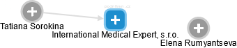International Medical Expert, s.r.o. - náhled vizuálního zobrazení vztahů obchodního rejstříku