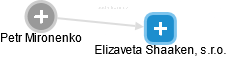Elizaveta Shaaken, s.r.o. - náhled vizuálního zobrazení vztahů obchodního rejstříku