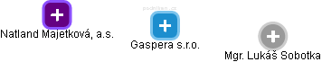 Gaspera s.r.o. - náhled vizuálního zobrazení vztahů obchodního rejstříku