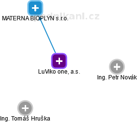 LuViko one, a.s. - náhled vizuálního zobrazení vztahů obchodního rejstříku