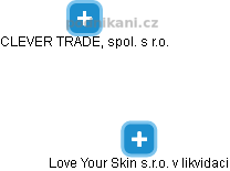 Love Your Skin s.r.o. v likvidaci - náhled vizuálního zobrazení vztahů obchodního rejstříku