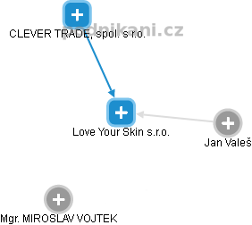 Love Your Skin s.r.o. - náhled vizuálního zobrazení vztahů obchodního rejstříku