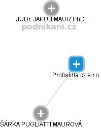 Profisídla.cz s.r.o. - náhled vizuálního zobrazení vztahů obchodního rejstříku