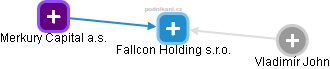 Fallcon Holding s.r.o. - náhled vizuálního zobrazení vztahů obchodního rejstříku