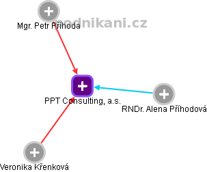 PPT Consulting, a.s. - náhled vizuálního zobrazení vztahů obchodního rejstříku