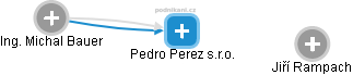 Pedro Perez s.r.o. - náhled vizuálního zobrazení vztahů obchodního rejstříku
