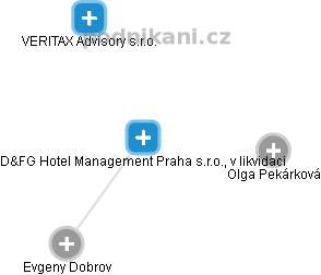 D&FG Hotel Management Praha s.r.o., v likvidaci - náhled vizuálního zobrazení vztahů obchodního rejstříku