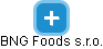 BNG Foods s.r.o. - náhled vizuálního zobrazení vztahů obchodního rejstříku
