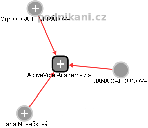 ActiveVibe Academy z.s. - náhled vizuálního zobrazení vztahů obchodního rejstříku