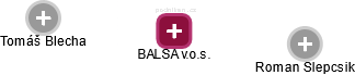 BALSA v.o.s. - náhled vizuálního zobrazení vztahů obchodního rejstříku
