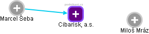 Cibarisk, a.s. - náhled vizuálního zobrazení vztahů obchodního rejstříku