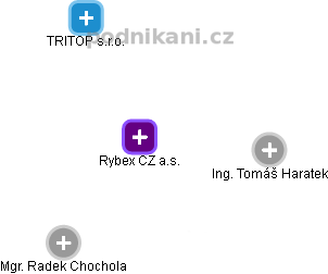 Rybex CZ a.s. - náhled vizuálního zobrazení vztahů obchodního rejstříku