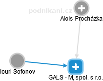 GALS - M, spol. s r.o. - náhled vizuálního zobrazení vztahů obchodního rejstříku