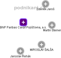 BNP Paribas Cardif Pojišťovna, a.s. - náhled vizuálního zobrazení vztahů obchodního rejstříku
