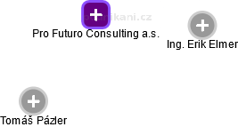 Pro Futuro Consulting a.s. - náhled vizuálního zobrazení vztahů obchodního rejstříku