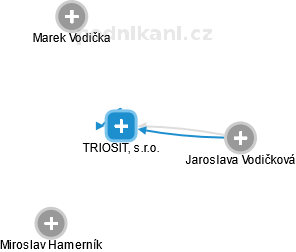 TRIOSIT, s.r.o. - náhled vizuálního zobrazení vztahů obchodního rejstříku