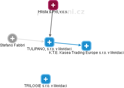 TULIPANO, s.r.o. v likvidaci - náhled vizuálního zobrazení vztahů obchodního rejstříku