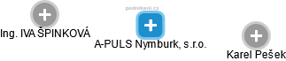 A-PULS Nymburk, s.r.o. - náhled vizuálního zobrazení vztahů obchodního rejstříku