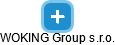 WOKING Group s.r.o. - náhled vizuálního zobrazení vztahů obchodního rejstříku
