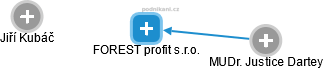 FOREST profit s.r.o. - náhled vizuálního zobrazení vztahů obchodního rejstříku