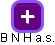 B N H a.s. - náhled vizuálního zobrazení vztahů obchodního rejstříku