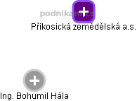 Příkosická zemědělská a.s. - náhled vizuálního zobrazení vztahů obchodního rejstříku